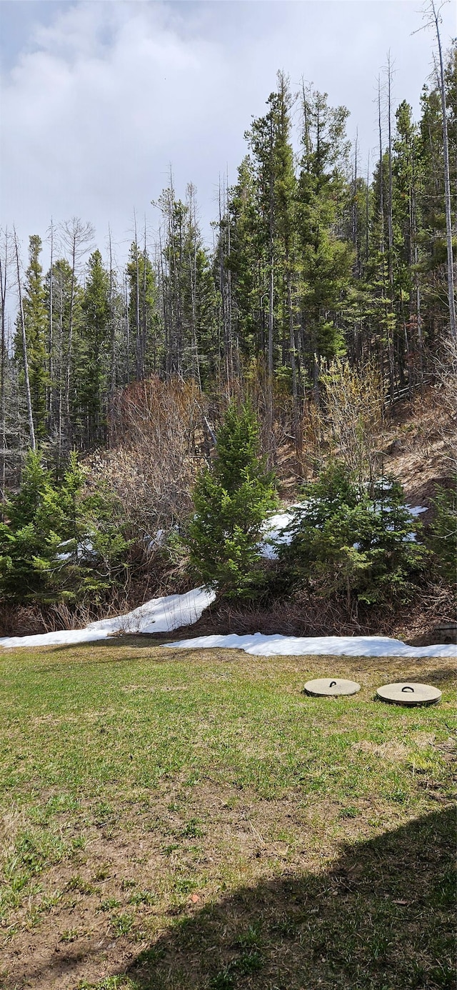 11169 Stemple Pass Rd, Lincoln, MT 59639 - view of green lawn
