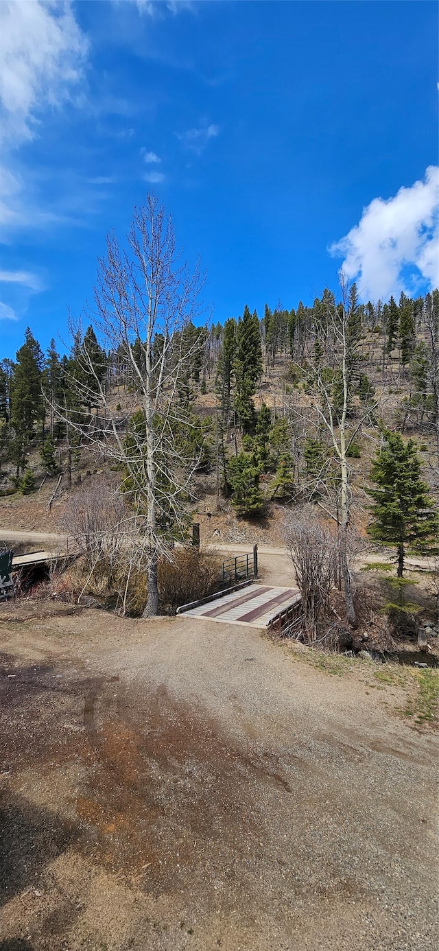 11169 Stemple Pass Rd, Lincoln, MT 59639 - view of dirt / gravel road