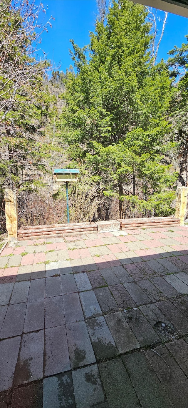 11169 Stemple Pass Rd, Lincoln, MT 59639 - view of patio / terrace
