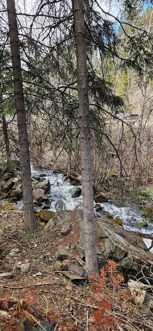 11169 Stemple Pass Rd, Lincoln, MT 59639 - view of local wilderness