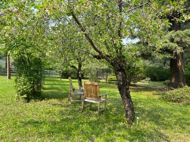 surrounding community with a yard