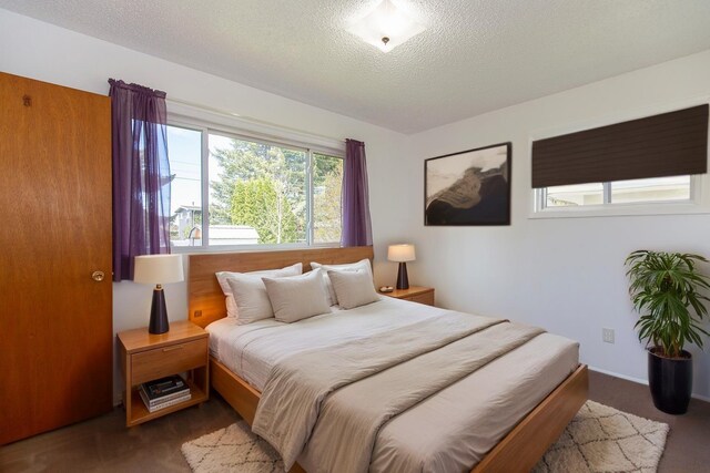 433 N 10th Ave, Bozeman, MT 59715 - bedroom with a textured ceiling