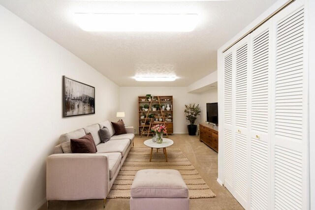 433 N 10th Ave, Bozeman, MT 59715 - living area featuring light carpet and a textured ceiling