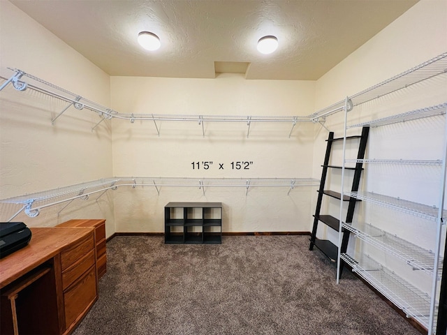 45292 Locust Ln, Charlo, MT 59824 - spacious closet with dark colored carpet