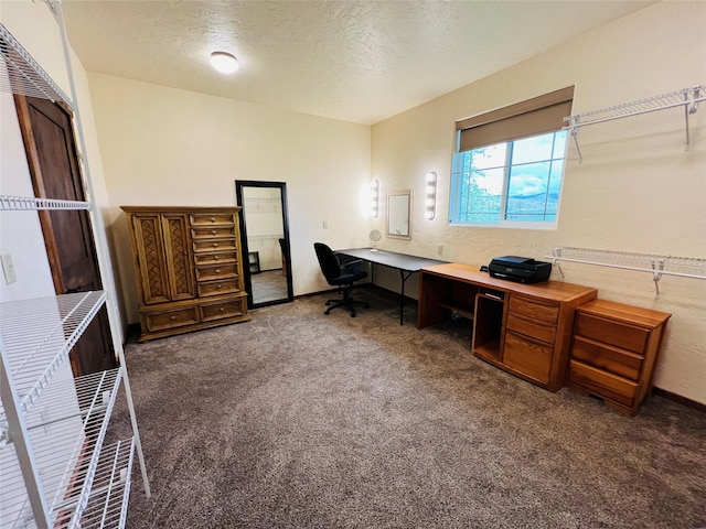 45292 Locust Ln, Charlo, MT 59824 - carpeted office featuring a textured ceiling and baseboards