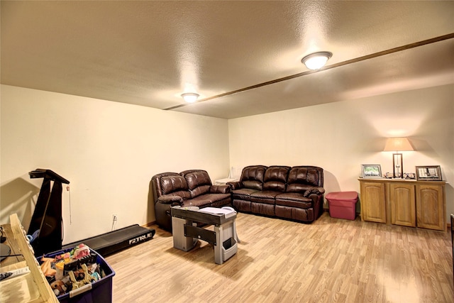 45292 Locust Ln, Charlo, MT 59824 - living area featuring light wood finished floors and a textured ceiling
