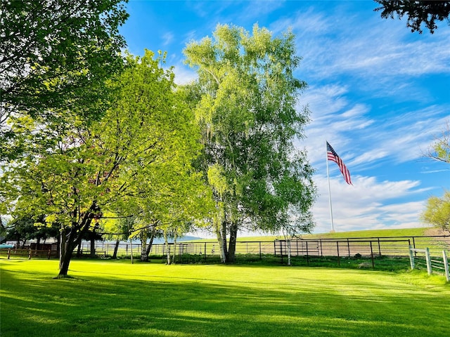 45292 Locust Ln, Charlo, MT 59824 - view of yard