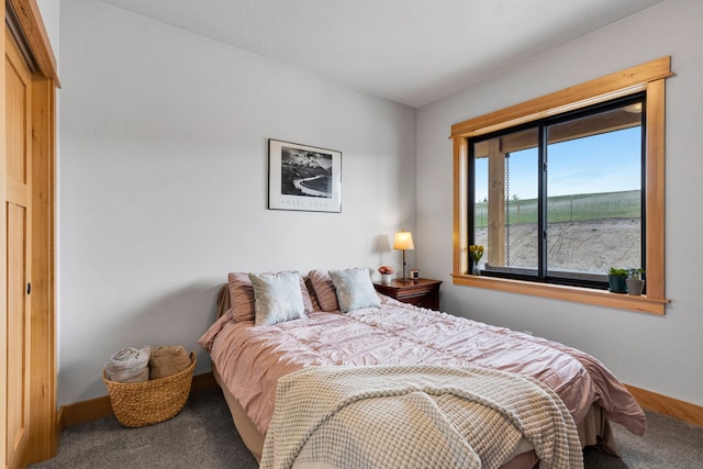 559 Stage Springs Ln, Stevensville, MT 59870 - carpeted bedroom featuring baseboards