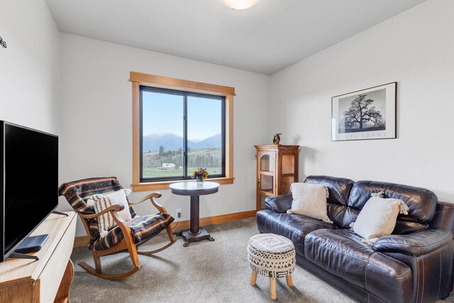559 Stage Springs Ln, Stevensville, MT 59870 - carpeted living area with baseboards