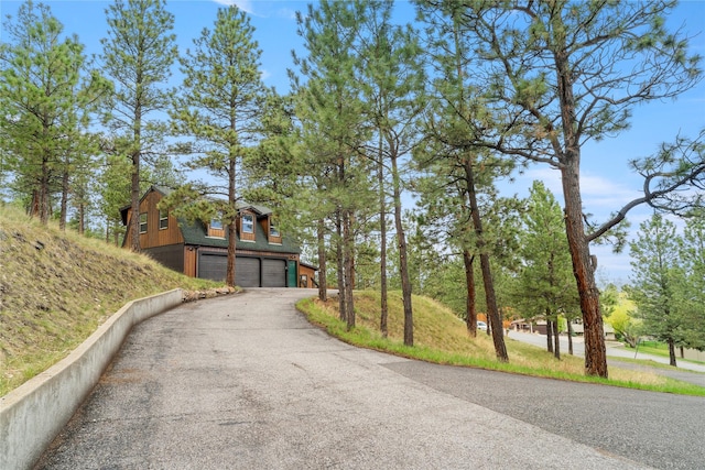view of asphalt driveway
