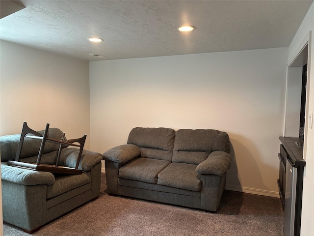 307 S Iowa St, Conrad, MT 59425 - living area featuring carpet flooring, recessed lighting, baseboards, and a textured ceiling