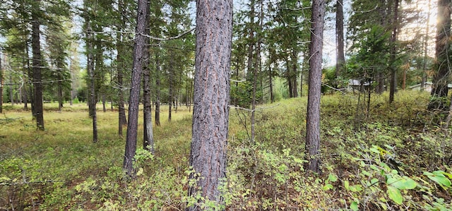 3100 Kootenai River Rd, Libby, MT 59923