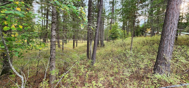 3100 Kootenai River Rd, Libby, MT 59923