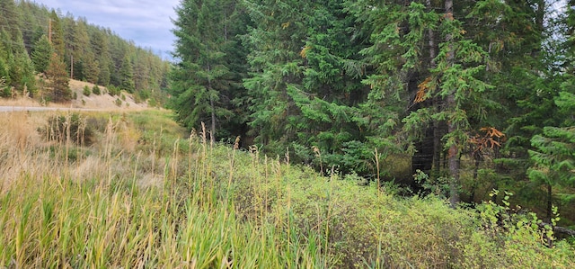 3100 Kootenai River Rd, Libby, MT 59923