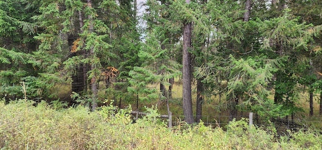3100 Kootenai River Rd, Libby, MT 59923