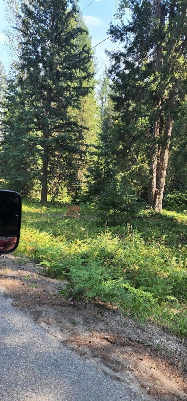 3100 Kootenai River Rd, Libby, MT 59923