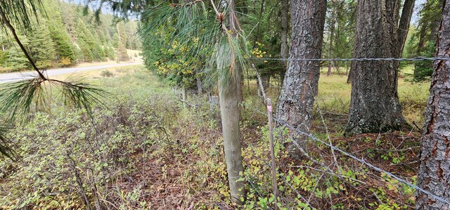 3100 Kootenai River Rd, Libby, MT 59923