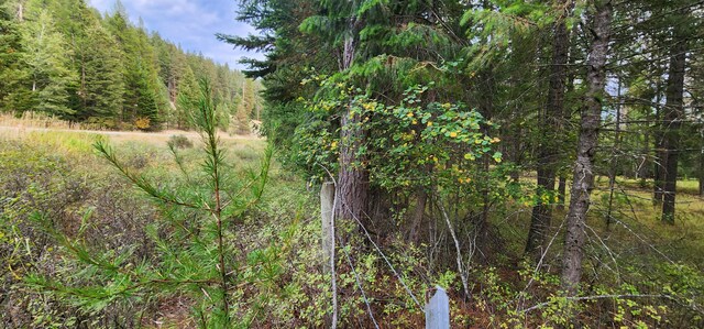 3100 Kootenai River Rd, Libby, MT 59923