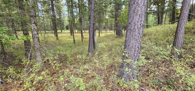 3100 Kootenai River Rd, Libby, MT 59923