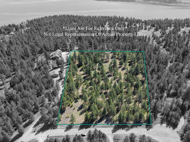 45650 Lark Ct, Big Arm, MT 59910