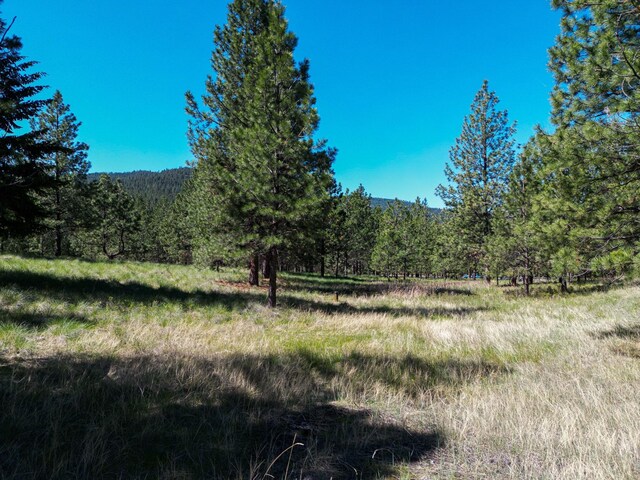 45650 Lark Ct, Big Arm, MT 59910