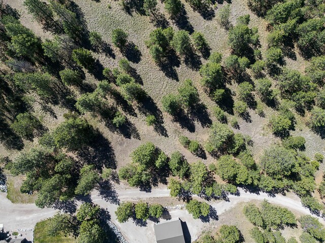 45650 Lark Ct, Big Arm, MT 59910
