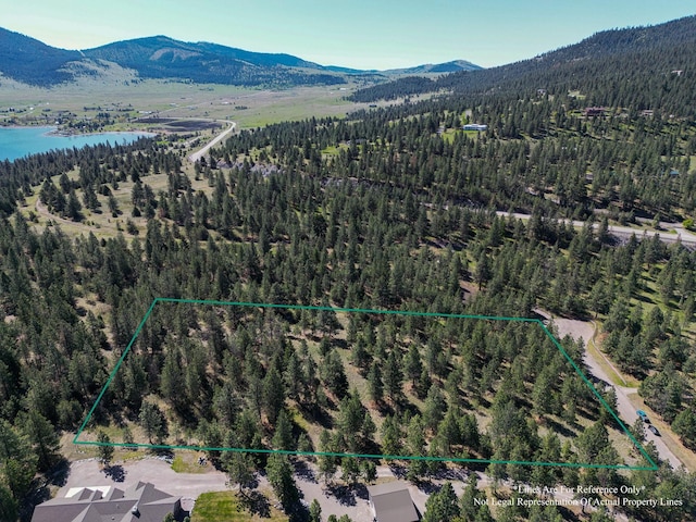45650 Lark Ct, Big Arm, MT 59910