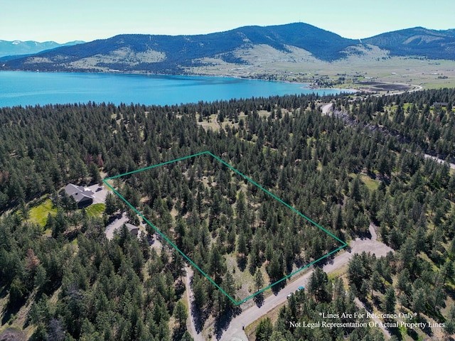 45650 Lark Ct, Big Arm, MT 59910