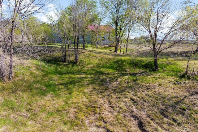 999 Websters Way, Stevensville, MT 59870 - view of yard