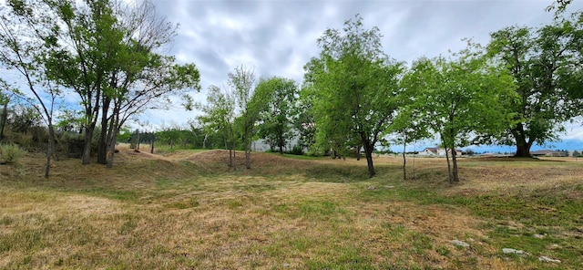 999 Websters Way, Stevensville, MT 59870 - view of yard