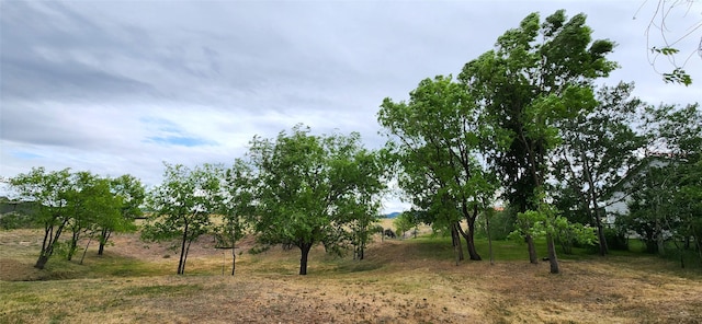 999 Websters Way, Stevensville, MT 59870 - view of undeveloped land