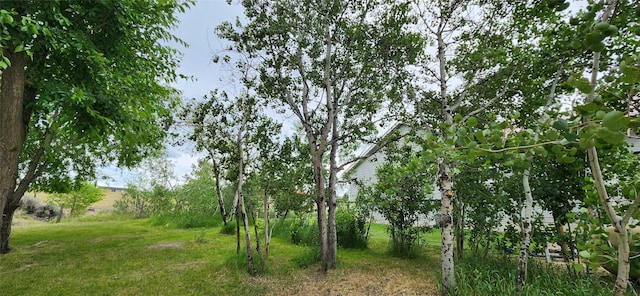 999 Websters Way, Stevensville, MT 59870 - view of nature