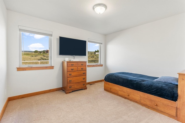 999 Websters Way, Stevensville, MT 59870 - bedroom with carpet and baseboards