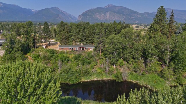 411 W River Rd, Hamilton, MT 59840 - view of mountain backdrop featuring a forest and a nearby body of water