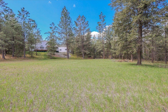 141 Aspen Ln, Eureka, MT 59917 - view of green lawn