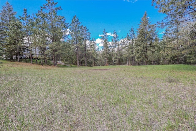 141 Aspen Ln, Eureka, MT 59917 - view of yard featuring a view of trees