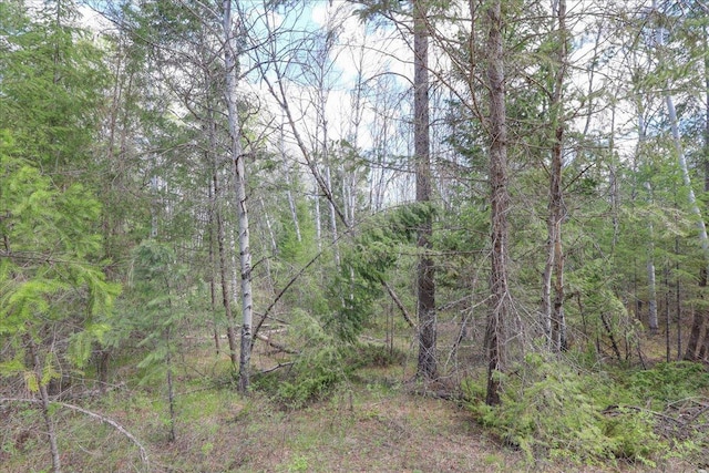 141 Aspen Ln, Eureka, MT 59917 - view of woods
