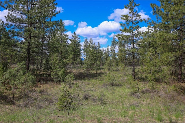 141 Aspen Ln, Eureka, MT 59917 - view of wooded area