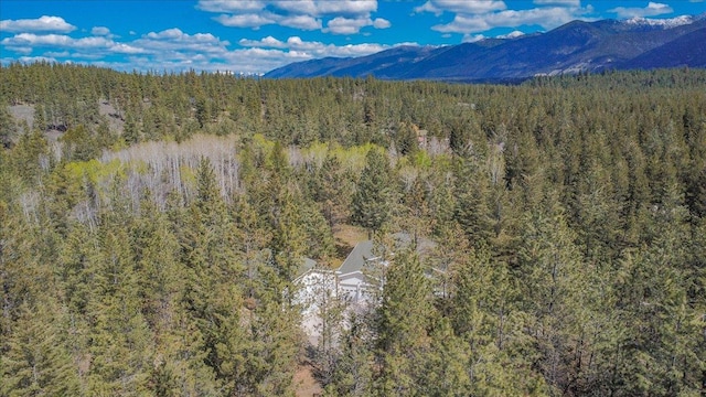 141 Aspen Ln, Eureka, MT 59917 - view of mountain background featuring a heavily wooded area