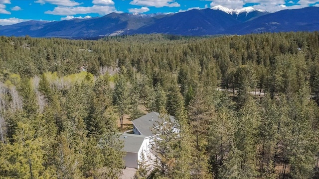 141 Aspen Ln, Eureka, MT 59917 - mountain view featuring a forest