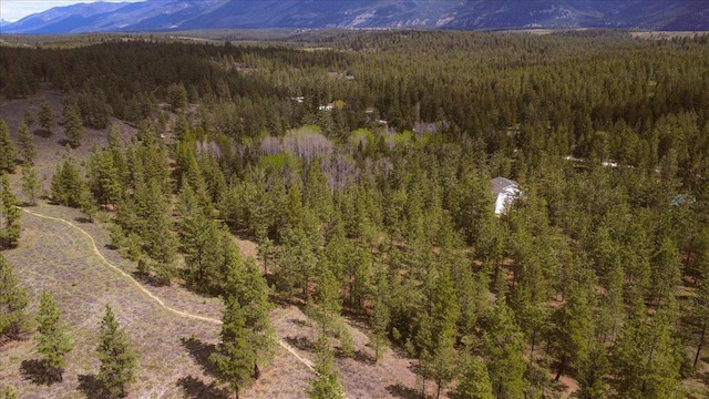 141 Aspen Ln, Eureka, MT 59917 - aerial view of a forest and a mountainous background