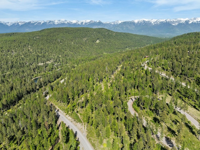186 Trading Post Trl, Bigfork, MT 59911