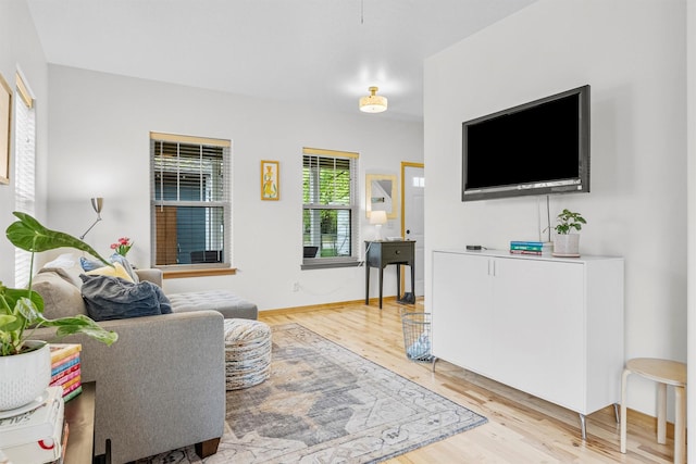 318 Dearborn Ave, Missoula, MT 59801 - living room with light wood-style flooring and baseboards