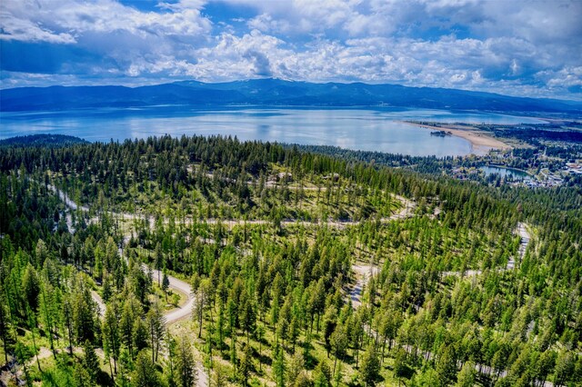 453 Chief Cliff Trl, Bigfork, MT 59911