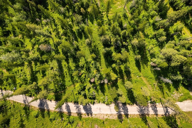453 Chief Cliff Trl, Bigfork, MT 59911