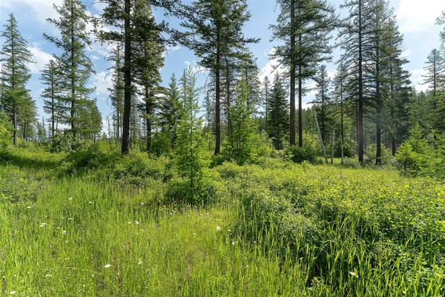 453 Chief Cliff Trl, Bigfork, MT 59911