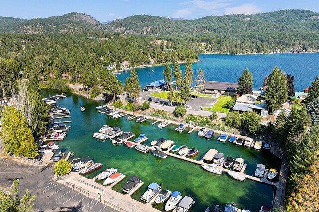 453 Chief Cliff Trl, Bigfork, MT 59911