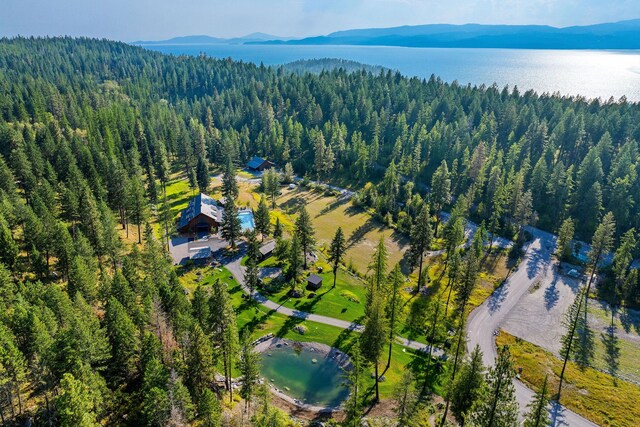 48 Bridle Ct, Bigfork, MT 59911