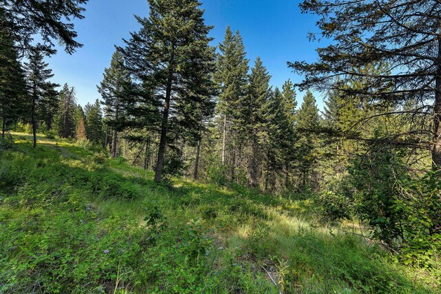 48 Bridle Ct, Bigfork, MT 59911