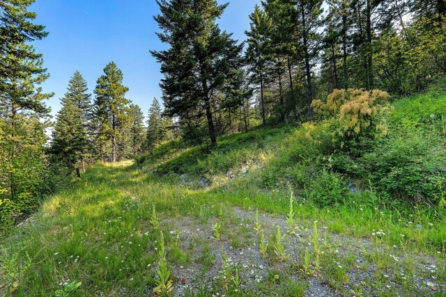 48 Bridle Ct, Bigfork, MT 59911